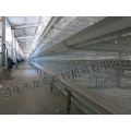 H Type Automatic Poultry Equipment Broiler Cage